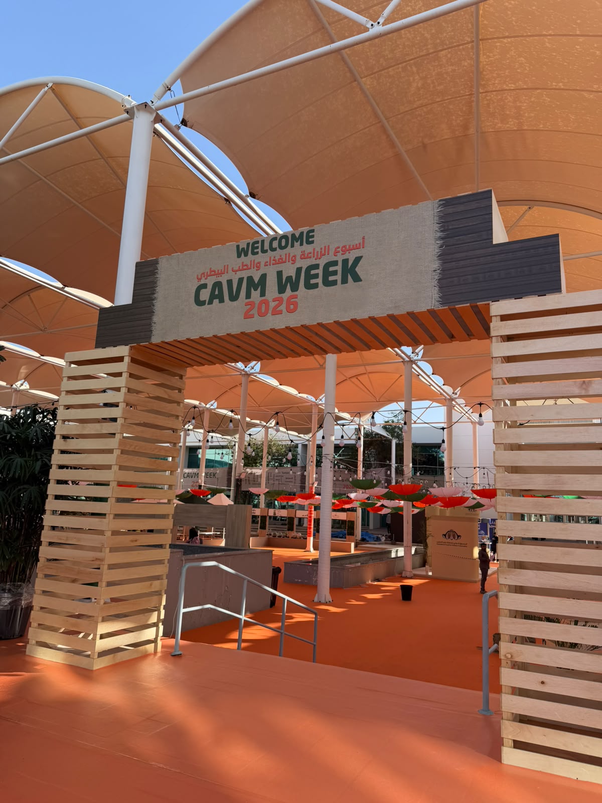 CAVM Week Festival