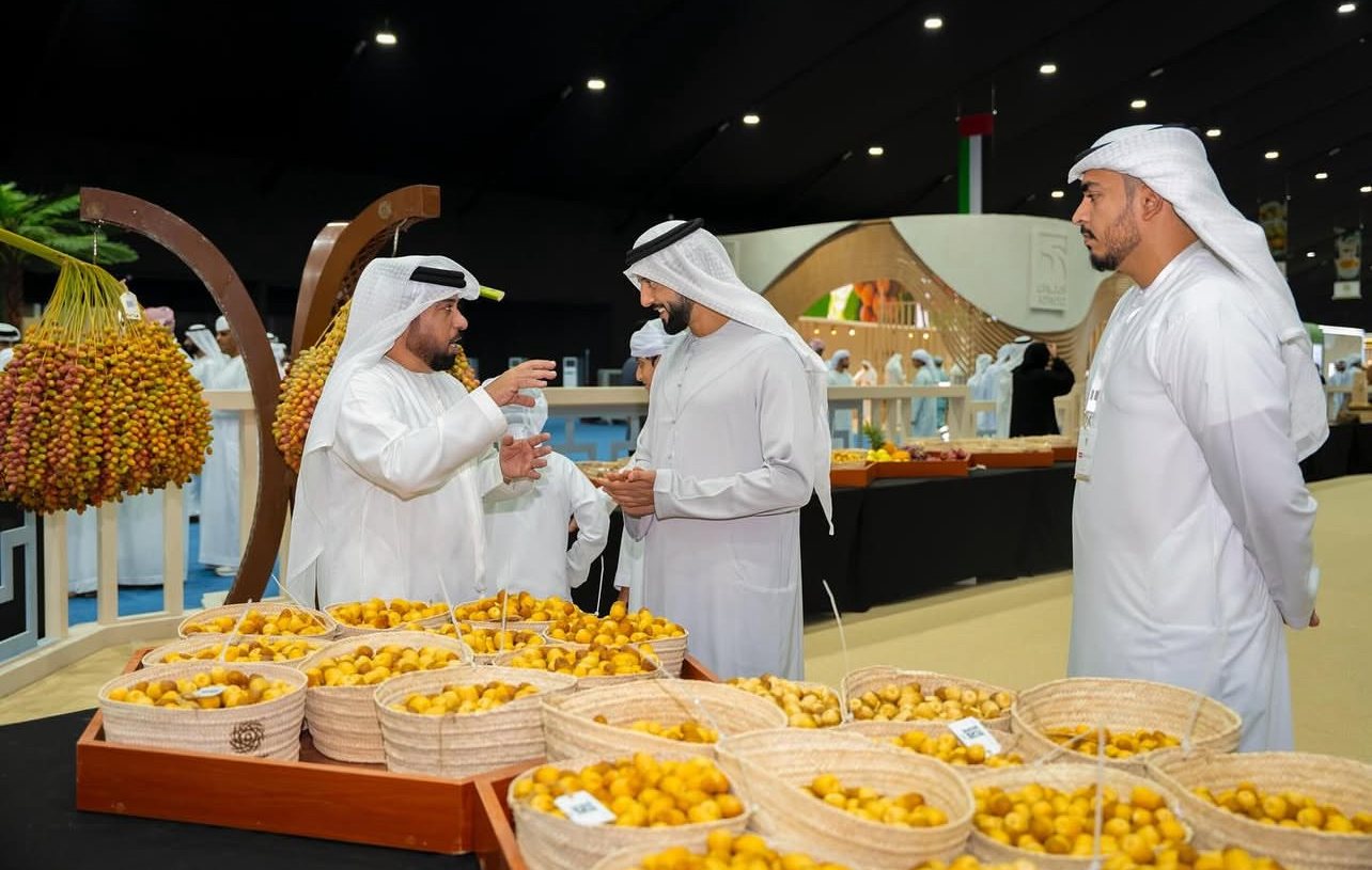 Liwa Date Festival 2025 Photo Archive photo 15