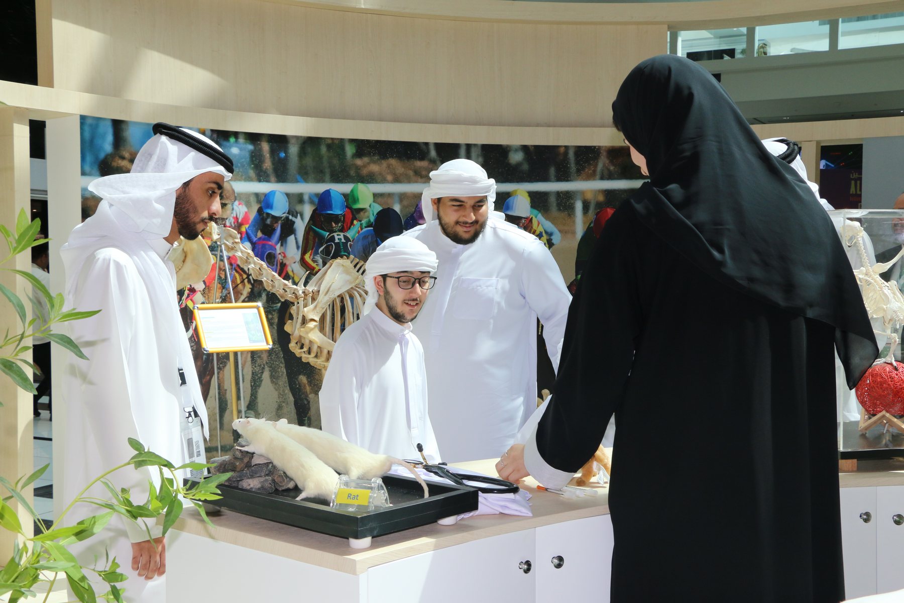 Official Exhibition Visit