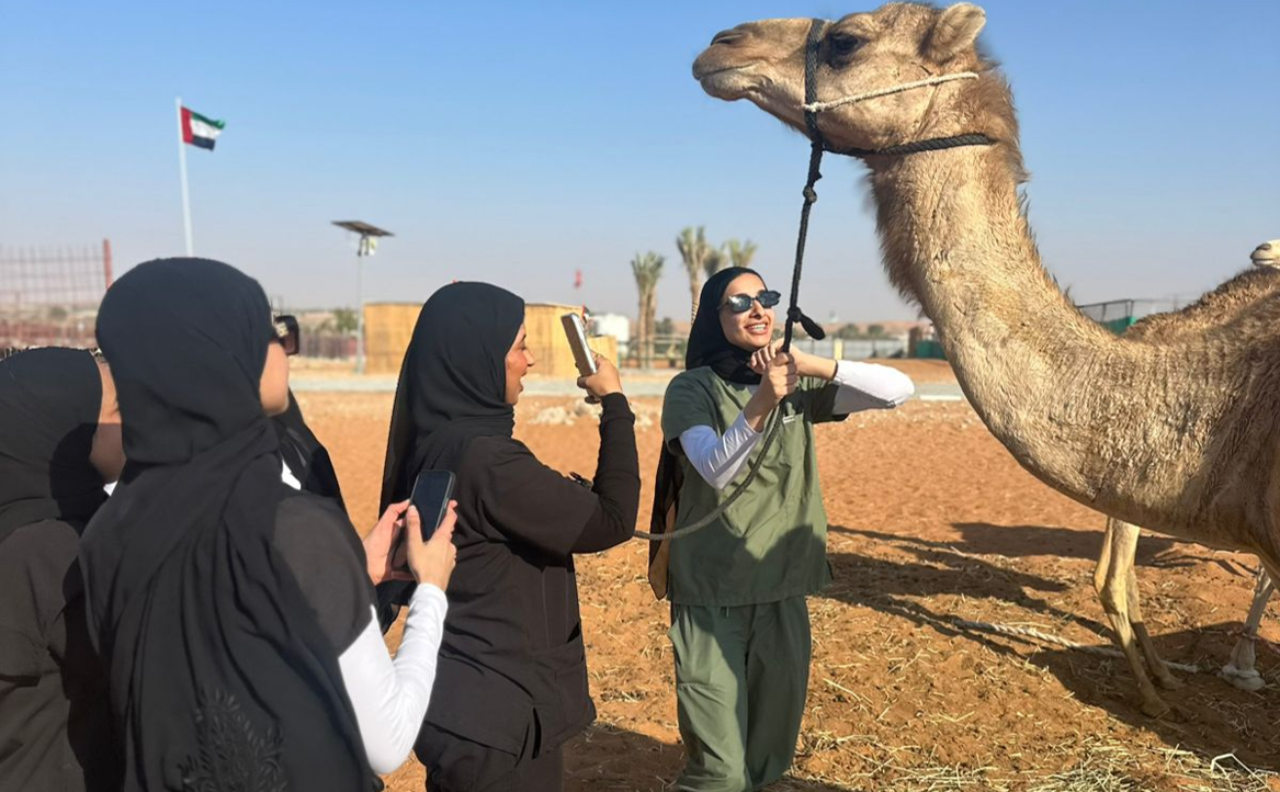 Camel Field Learning Experience