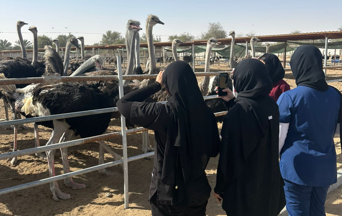 Ostrich Farm Learning Visit